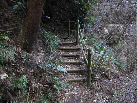 20160128hike (409)
